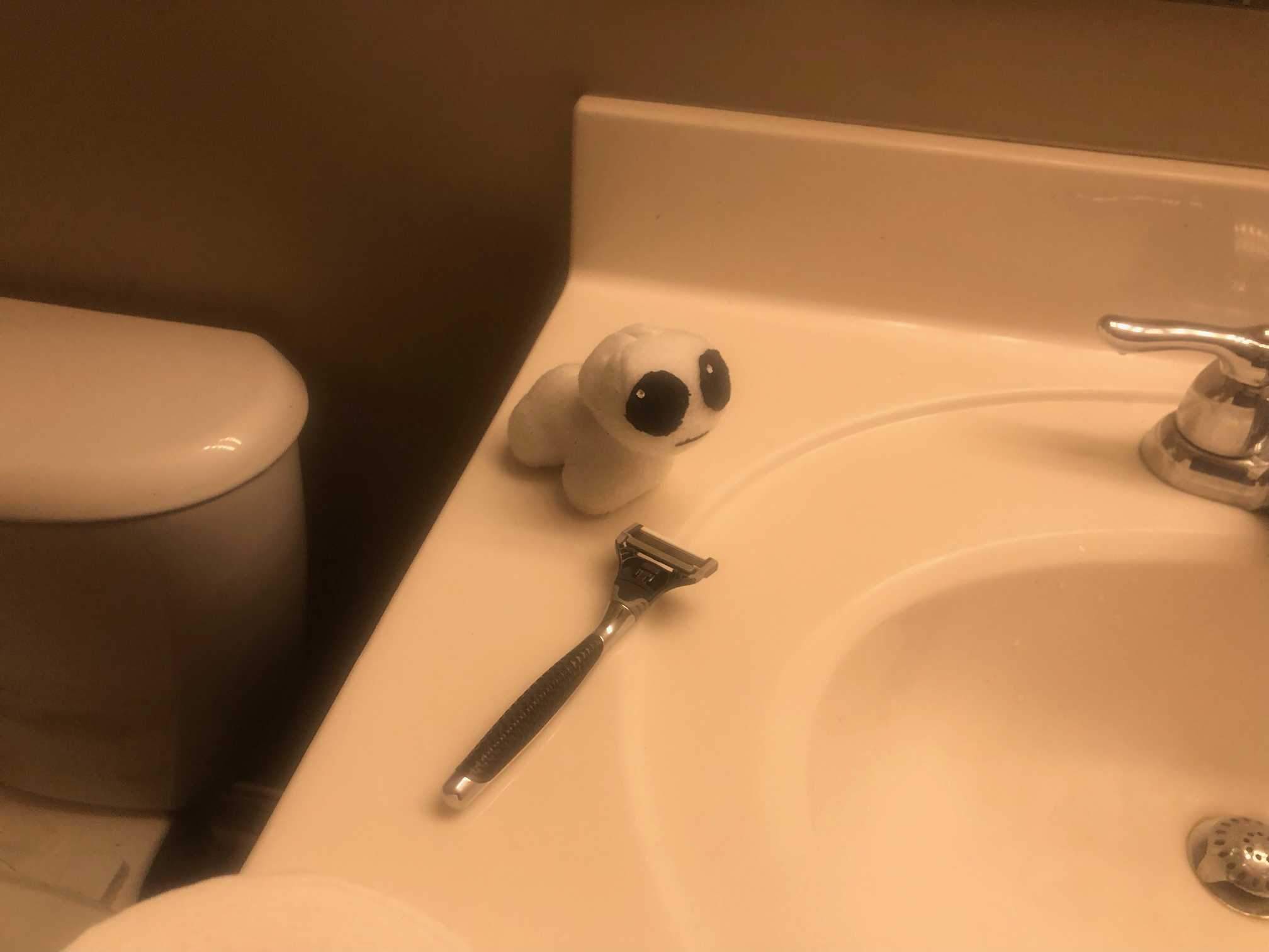 Creature's morning routine